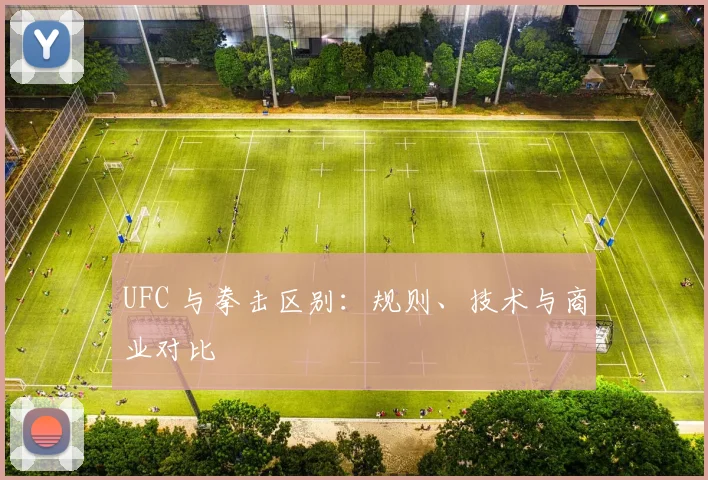 UFC 与拳击区别:规则、技术与商业对比